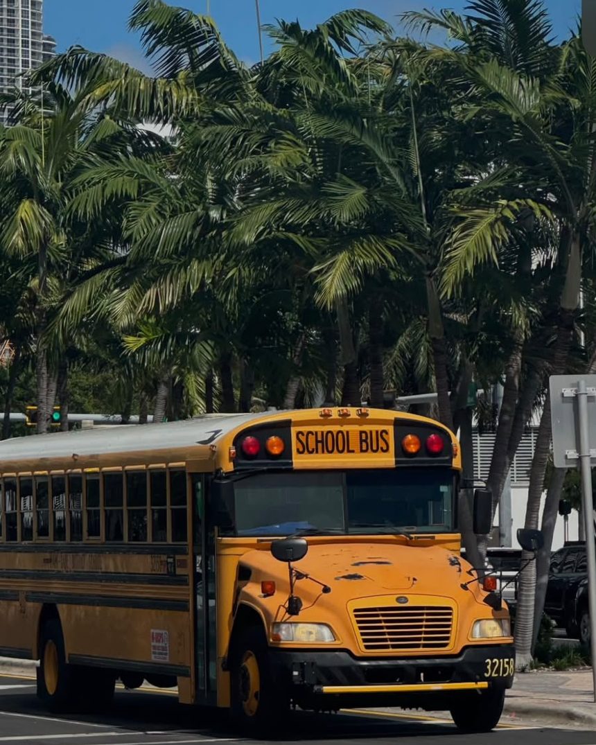 Żółty szkolny autobus w alei palm